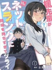漫改条目标本 054-manga：断章集的网点与分镜示意